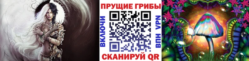 Галлюциногенные грибы мицелий  Калининец 